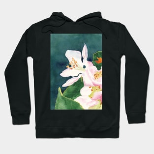 Apple Blossom Macro Study 2 Hoodie